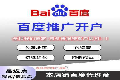 某知名品牌SEM运营策略及效果评估